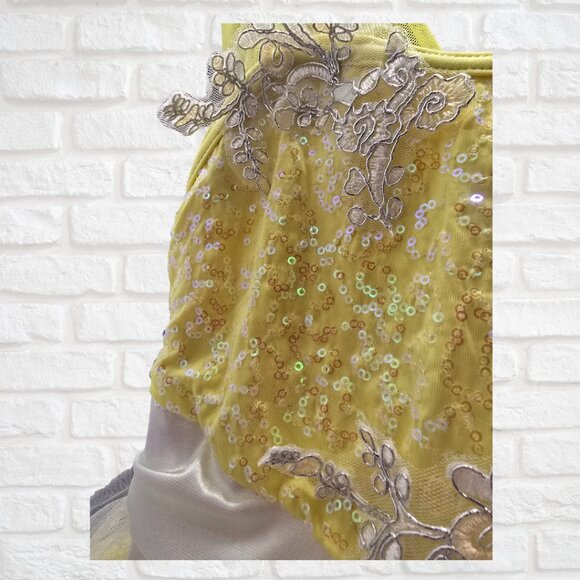 Yellow Ballet Recital Costume XS(4T)-Leotard with attached tutu & embellishments - Picture 7 of 7